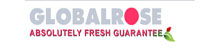 visit GlobalRose