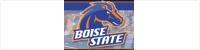 visit BroncoSports