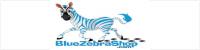visit Blue Zebra Shop